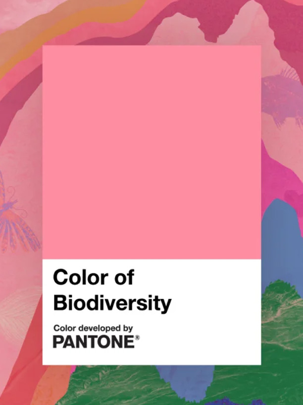 Nå får du Pantone hos oss!